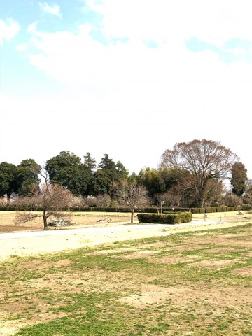 施設写真11