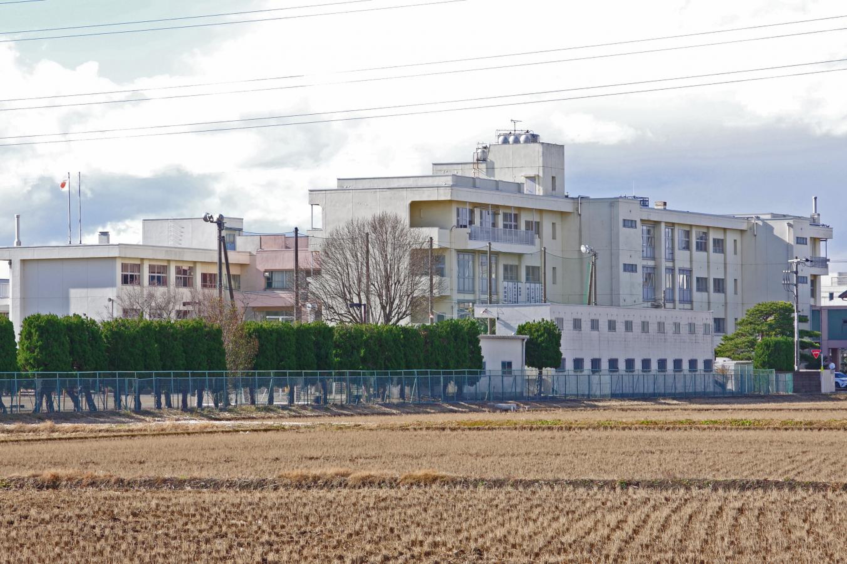 公の場での発言・インタビュー報道記録