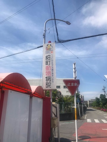 投稿写真2