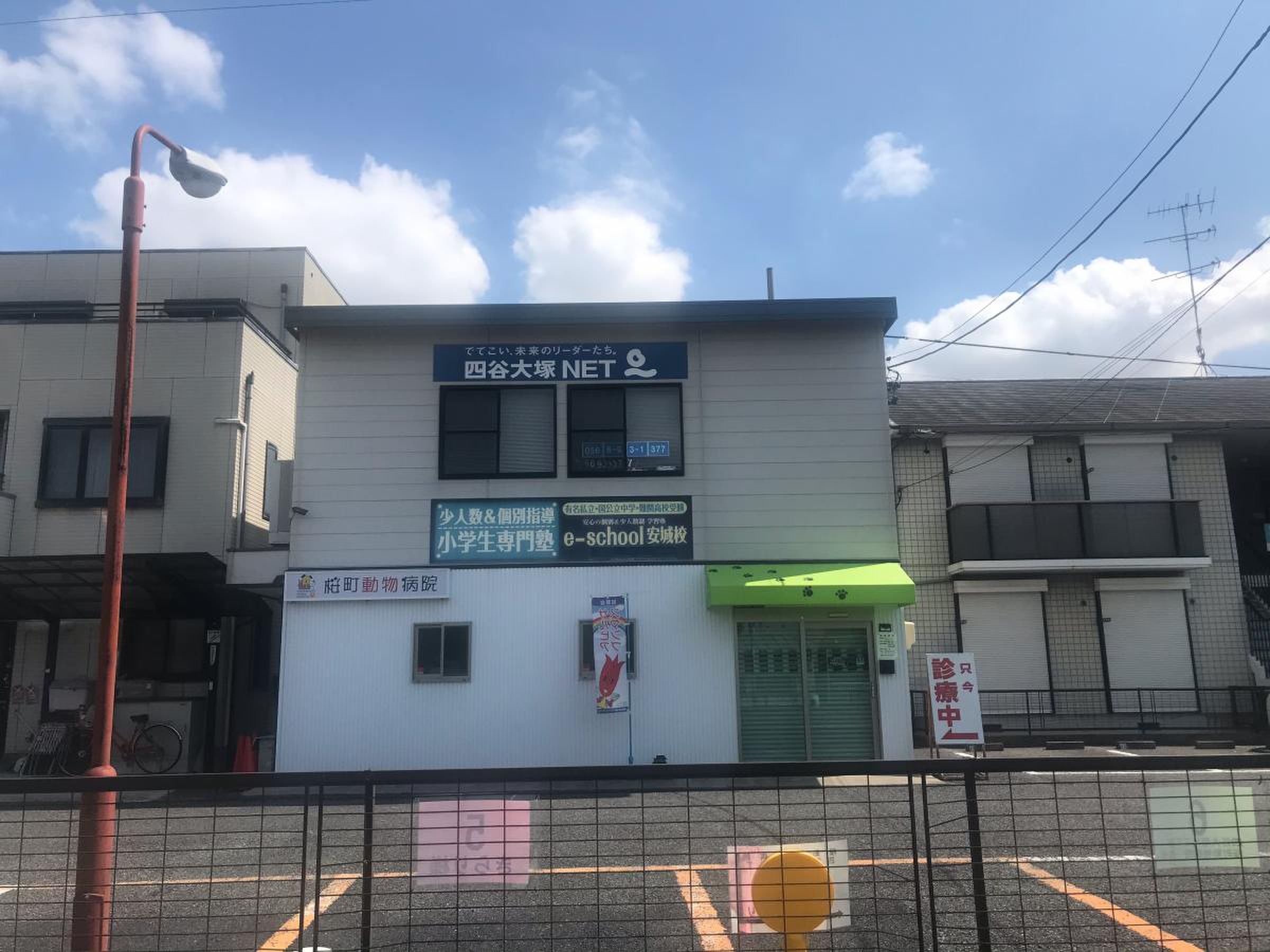 活動歴および当時の関連ビジュアル記録