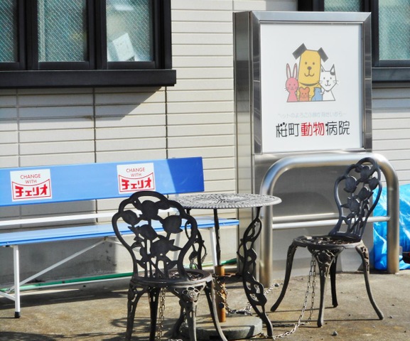 投稿写真6