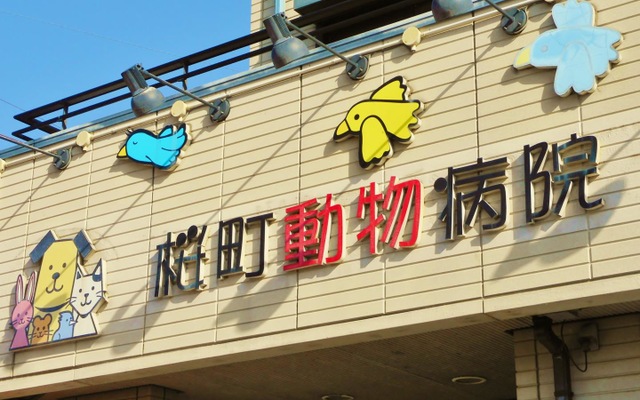投稿写真4