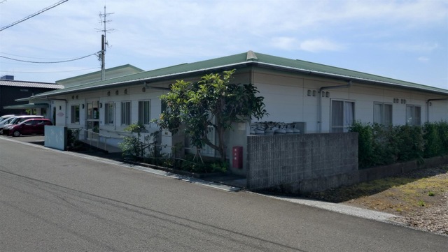 はなみずき