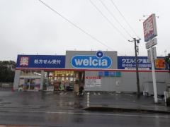 ウエルシア　柏酒井根店