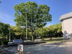 京都市横大路運動公園体育館