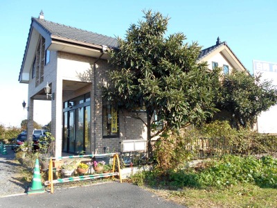 ドクターマップ 白岡内科総合診療所 白岡市千駄野