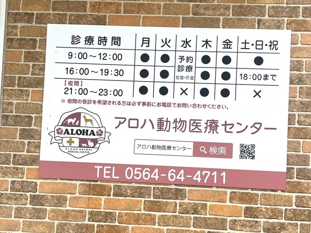 投稿写真7