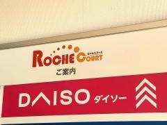 ダイソー　ロッシュコート岩出店