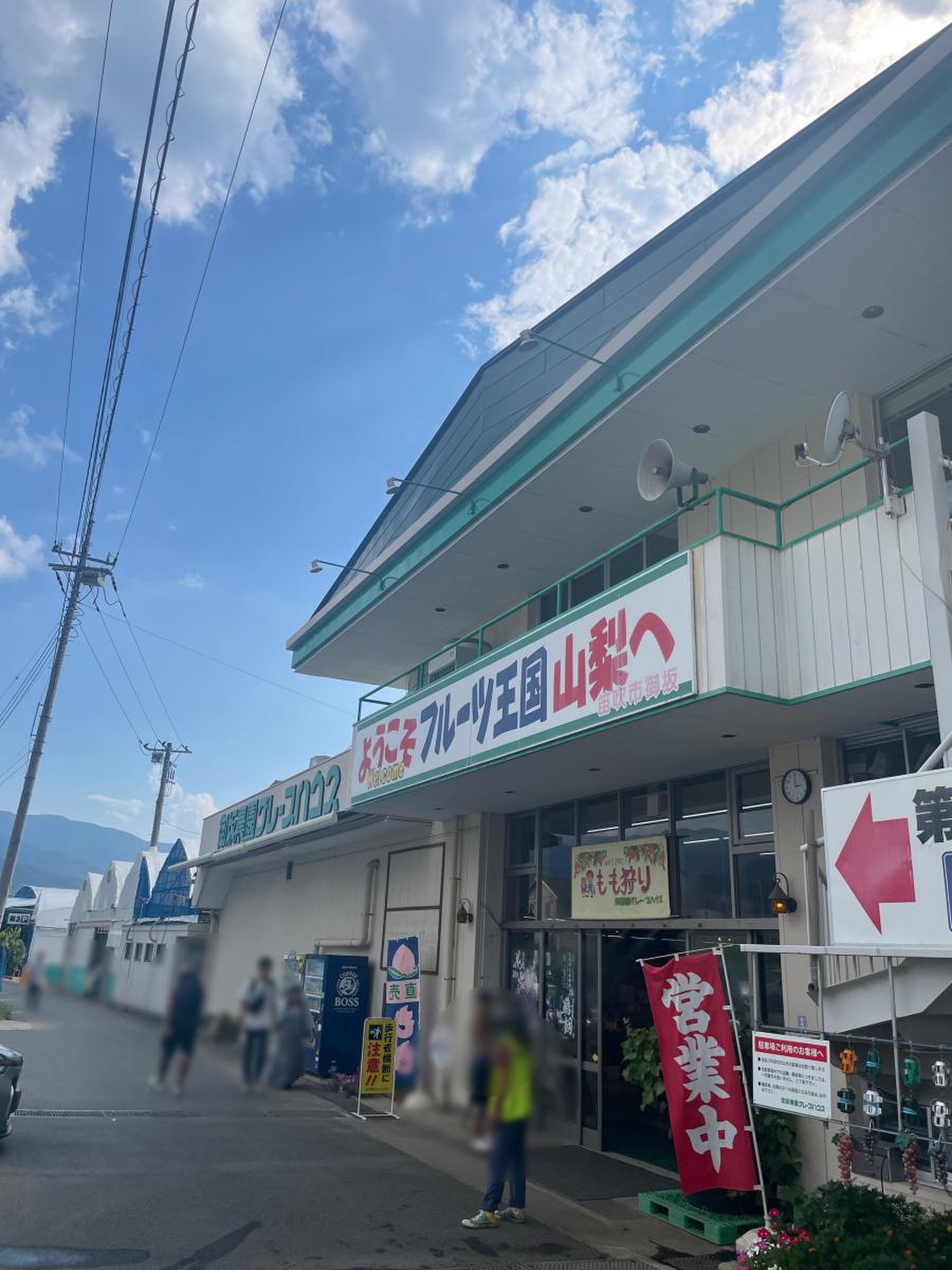 御坂 農園 グレープ ハウス