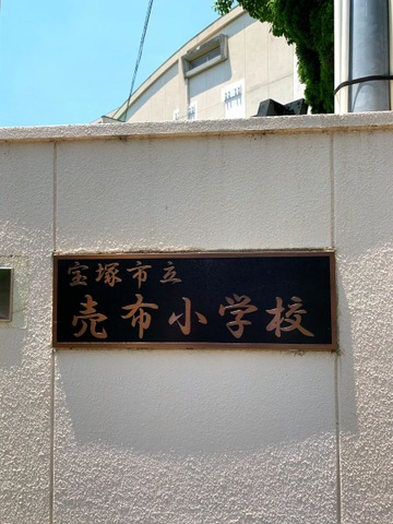 投稿写真1