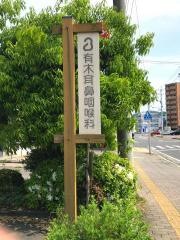 有木耳鼻咽喉科