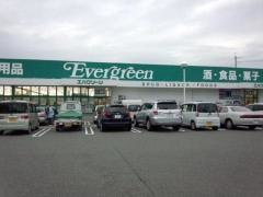 エバグリーン海南店