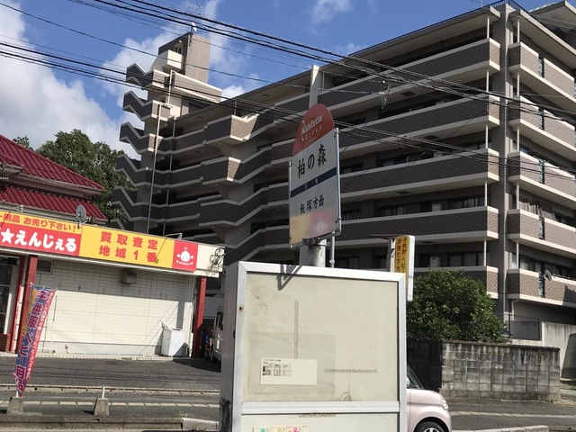 投稿写真7