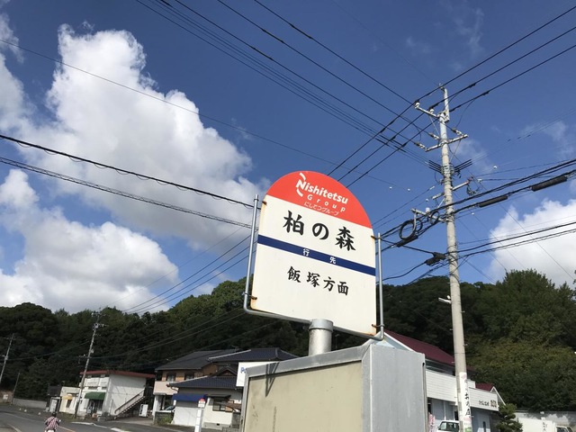 投稿写真4