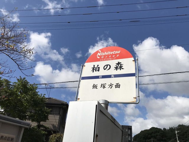 投稿写真3