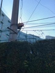 私立帝京中学校