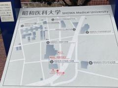 昭和大学病院