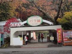 花巻温泉バラ園