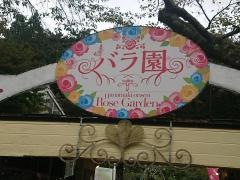 花巻温泉バラ園