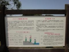 花菖蒲の郷公園
