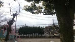 金沢さくら保育園