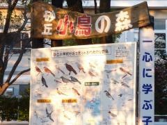 砂丘小学校