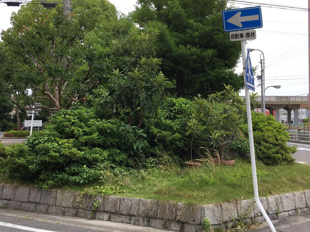 雰囲気