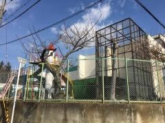 青英幼稚園