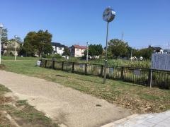 宮の池公園