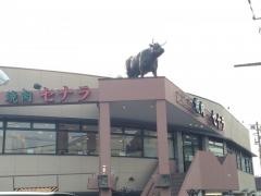 セナラ川口店
