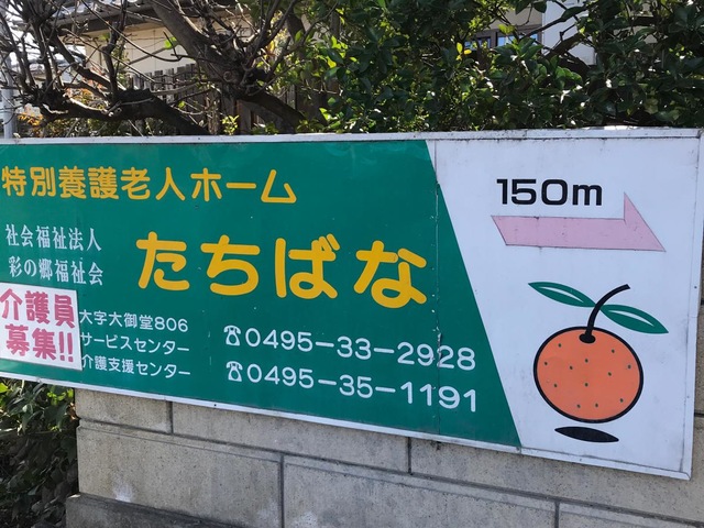 たちばな