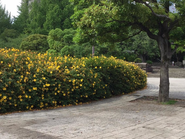 施設写真27