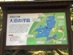 大沼の浮島