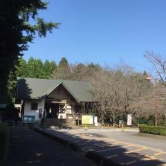 龍ヶ崎市森林公園