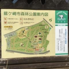 龍ヶ崎市森林公園