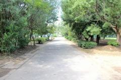 北磯辺公園