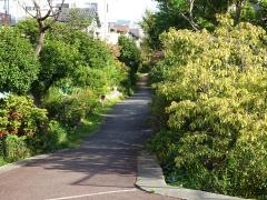 楠根川緑地