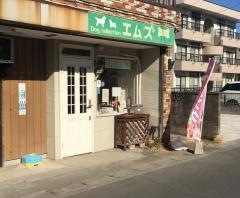 エムズ