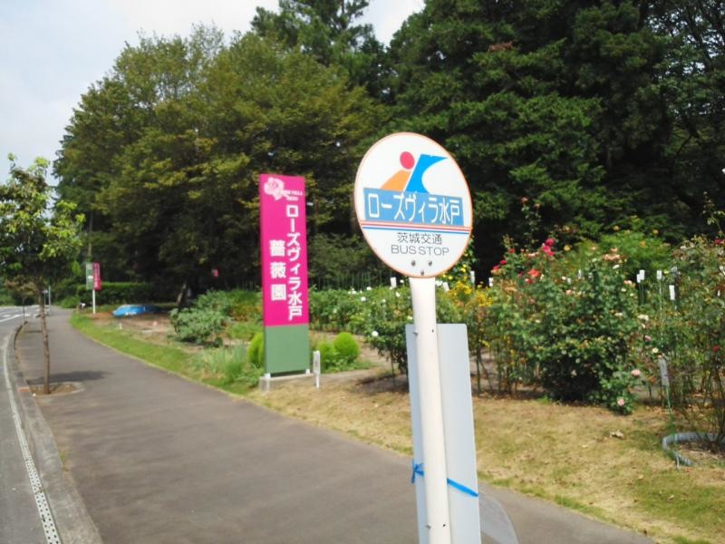 バス停
