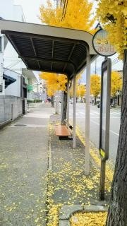 「菊谷町」バス停留所