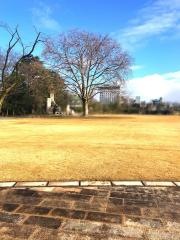 富山城址公園