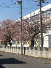 光陽小学校
