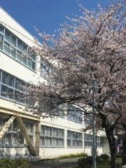 光陽小学校
