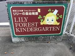 リリーの森幼稚園