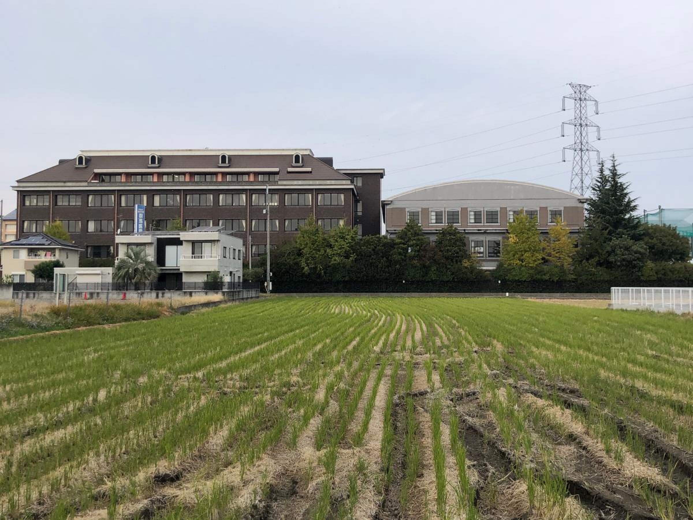 群馬 医療 福祉 大学