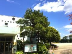 明峰小学校