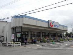 カワチ薬品　中川店