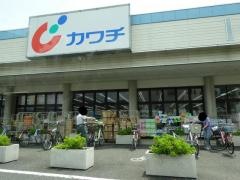 カワチ薬品　中川店