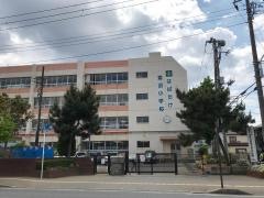 鷺沼小学校