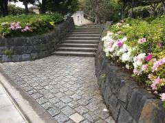 目黒区民センター公園